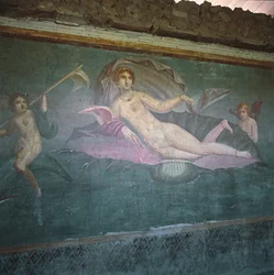 Venus purjehtii merellä